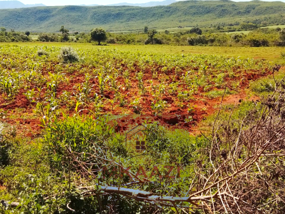 2,500 acres of prime agricultural land for sale in Solai featuring fertile red soil, freehold title, stream river frontage, electricity availability, and exceptional potential for mixed farming, livestock ranching, aloe vera cultivation, agribusiness, and long-term agricultural investment.