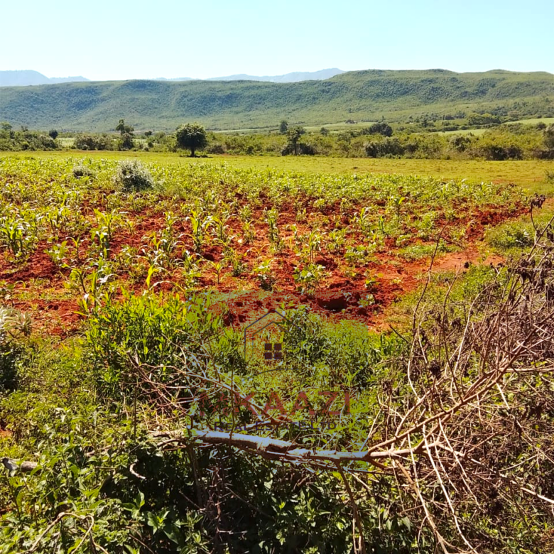 2,500 acres of prime agricultural land for sale in Solai featuring fertile red soil, freehold title, stream river frontage, electricity availability, and exceptional potential for mixed farming, livestock ranching, aloe vera cultivation, agribusiness, and long-term agricultural investment.