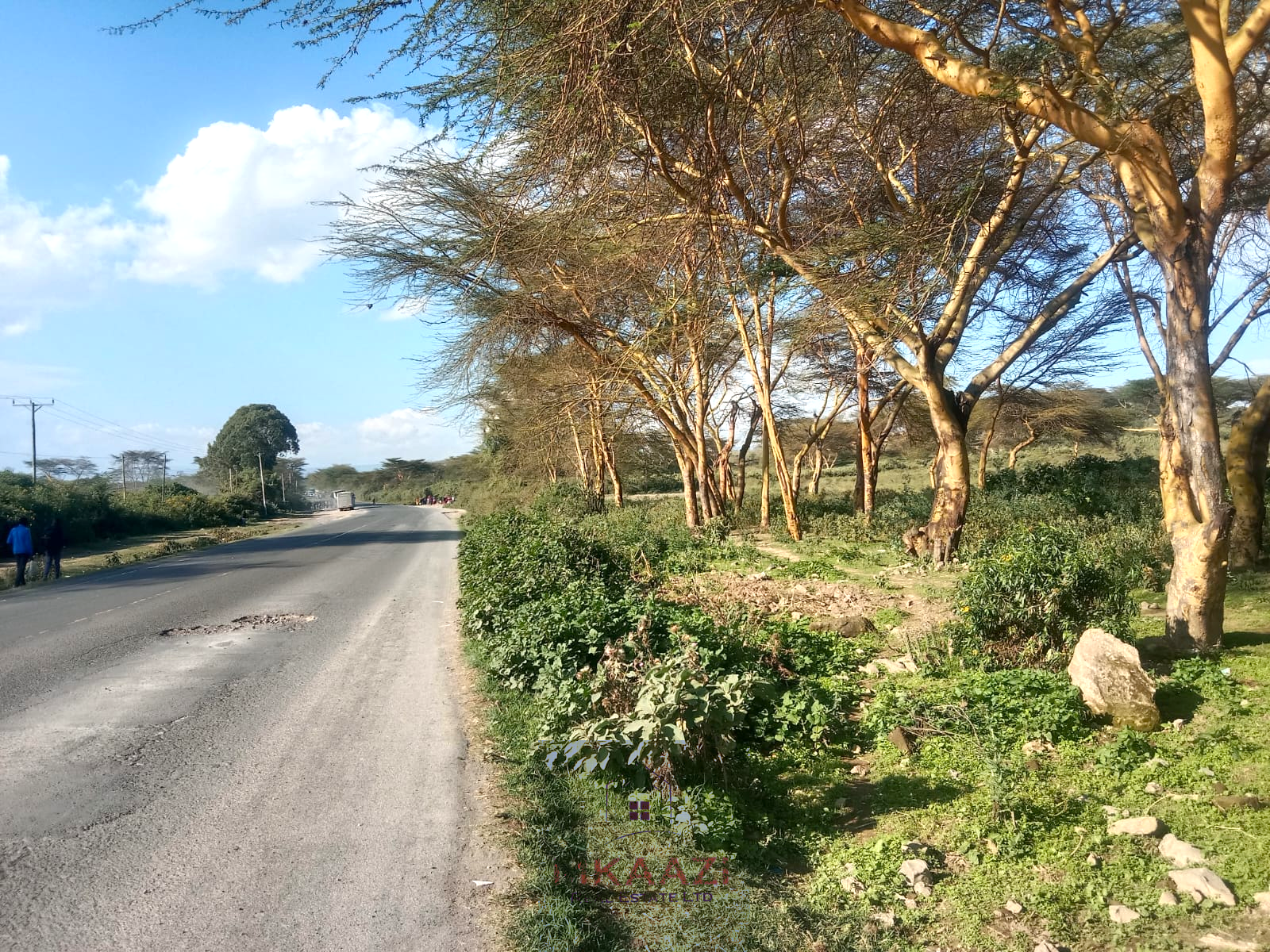 Prime 25-acre development land for sale along Moi South Road, Naivasha with direct tarmac frontage and multiple access roads, ideal for hotels, schools, gated communities, hospitals, and commercial developments.