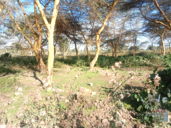 Prime 25-acre development land for sale along Moi South Road, Naivasha with direct tarmac frontage and multiple access roads, ideal for hotels, schools, gated communities, hospitals, and commercial developments.