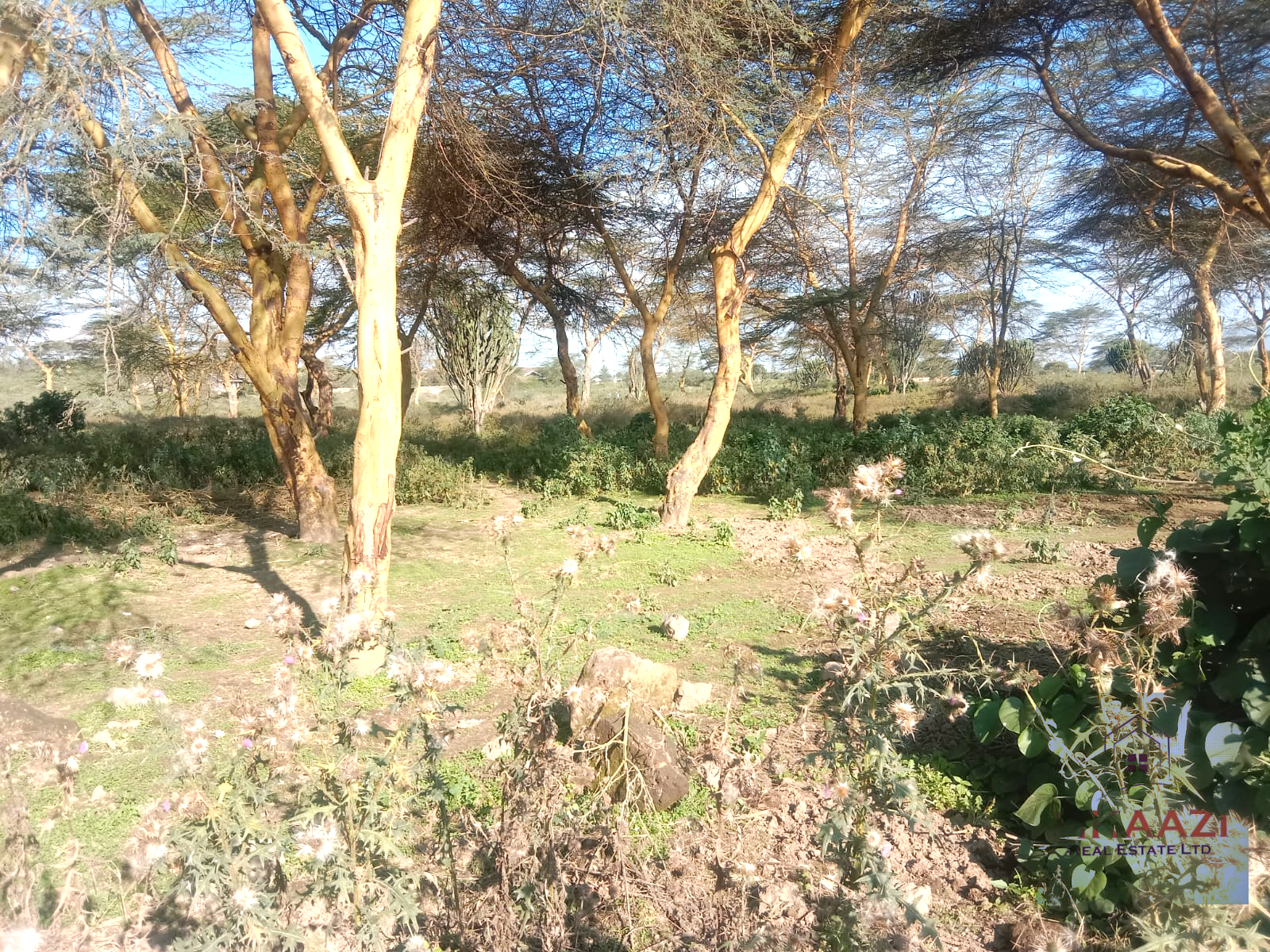 Prime 25-acre development land for sale along Moi South Road, Naivasha with direct tarmac frontage and multiple access roads, ideal for hotels, schools, gated communities, hospitals, and commercial developments.