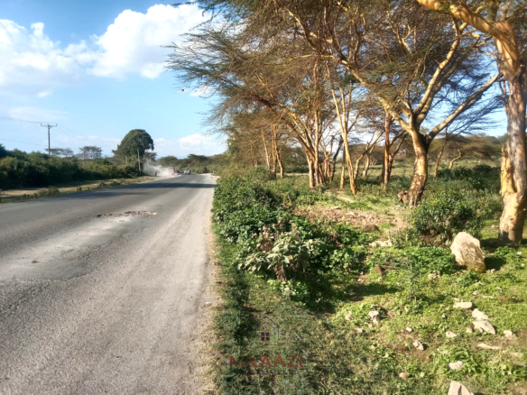 Prime 25-acre development land for sale along Moi South Road, Naivasha with direct tarmac frontage and multiple access roads, ideal for hotels, schools, gated communities, hospitals, and commercial developments.