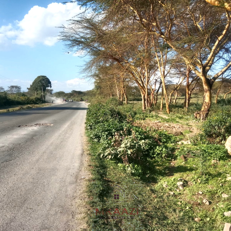 Prime 25-acre development land for sale along Moi South Road, Naivasha with direct tarmac frontage and multiple access roads, ideal for hotels, schools, gated communities, hospitals, and commercial developments.