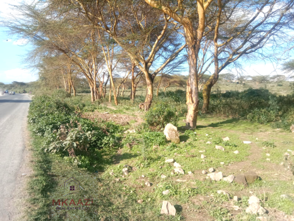 Prime 25-acre development land for sale along Moi South Road, Naivasha with direct tarmac frontage and multiple access roads, ideal for hotels, schools, gated communities, hospitals, and commercial developments.