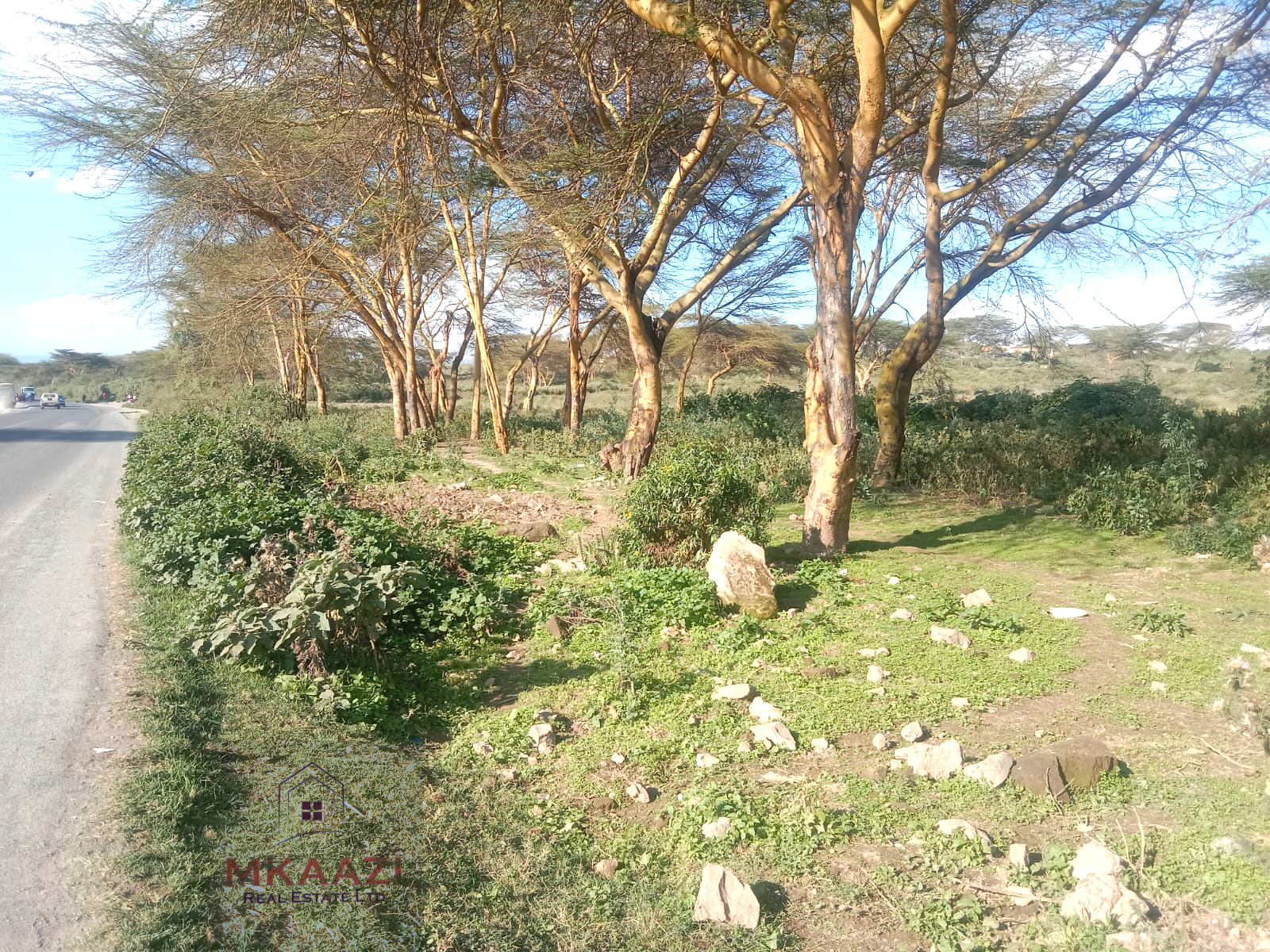 Prime 25-acre development land for sale along Moi South Road, Naivasha with direct tarmac frontage and multiple access roads, ideal for hotels, schools, gated communities, hospitals, and commercial developments.