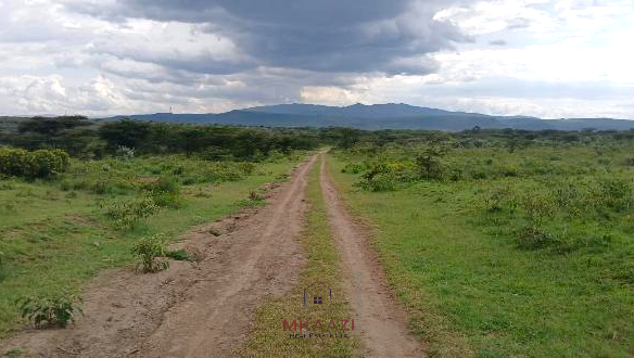 Prime 2,964-acre ranch land for sale in Naivasha, Nakuru near Nairobi-Nakuru Highway featuring Malewa River, infrastructure, airstrip space, and development potential.