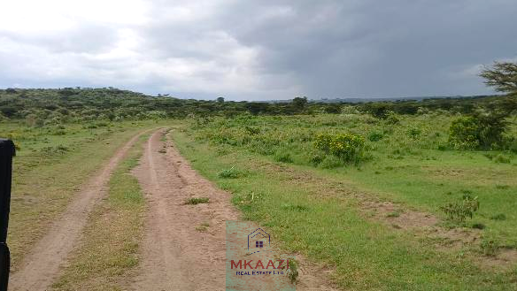 Prime 2,964-acre ranch land for sale in Naivasha, Nakuru near Nairobi-Nakuru Highway featuring Malewa River, infrastructure, airstrip space, and development potential.