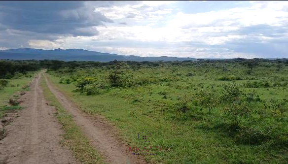 Prime 2,964-acre ranch land for sale in Naivasha, Nakuru near Nairobi-Nakuru Highway featuring Malewa River, infrastructure, airstrip space, and development potential.