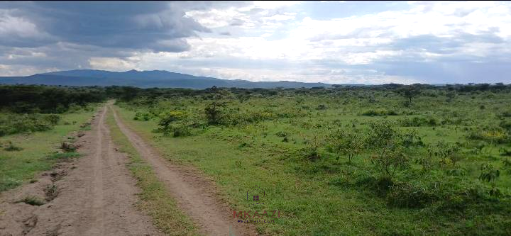 Prime 2,964-acre ranch land for sale in Naivasha, Nakuru near Nairobi-Nakuru Highway featuring Malewa River, infrastructure, airstrip space, and development potential.