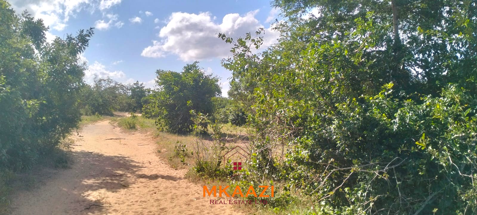 103-acre freehold land for sale in Dakacha, 2.5km off Malindi-Baricho Road, featuring red soil, a seasonal stream, nearby power and piped water, suitable for farming, ranching, and subdivision.
