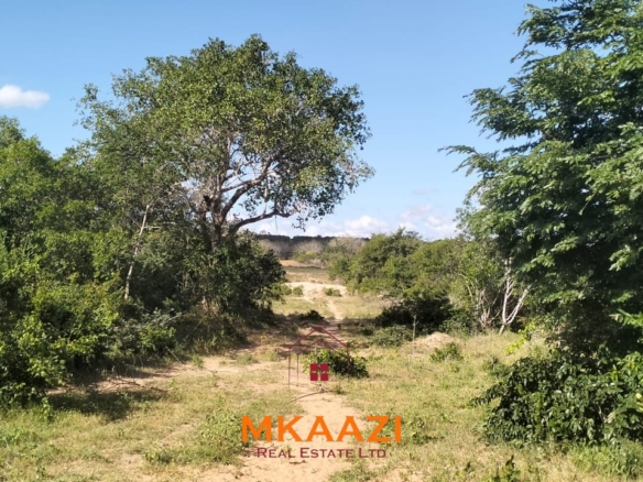 103-acre freehold land for sale in Dakacha, 2.5km off Malindi-Baricho Road, featuring red soil, a seasonal stream, nearby power and piped water, suitable for farming, ranching, and subdivision.