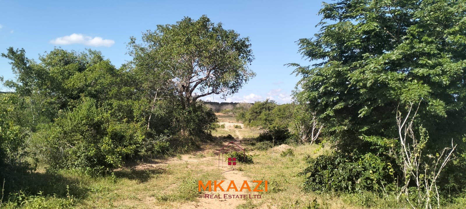 103-acre freehold land for sale in Dakacha, 2.5km off Malindi-Baricho Road, featuring red soil, a seasonal stream, nearby power and piped water, suitable for farming, ranching, and subdivision.