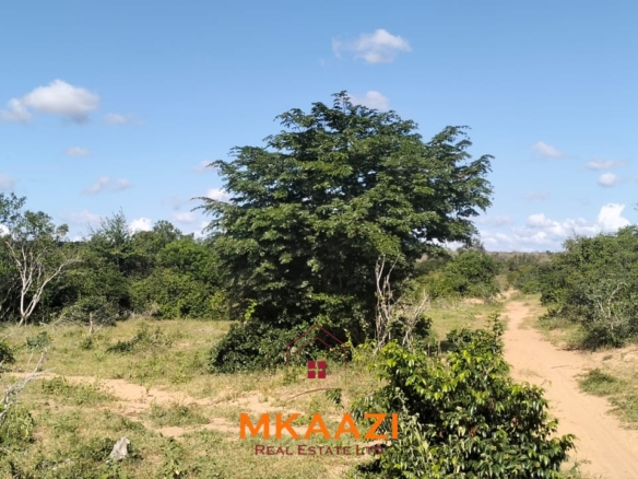 103-acre freehold land for sale in Dakacha, 2.5km off Malindi-Baricho Road, featuring red soil, a seasonal stream, nearby power and piped water, suitable for farming, ranching, and subdivision.