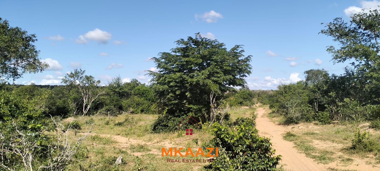 103-acre freehold land for sale in Dakacha, 2.5km off Malindi-Baricho Road, featuring red soil, a seasonal stream, nearby power and piped water, suitable for farming, ranching, and subdivision.
