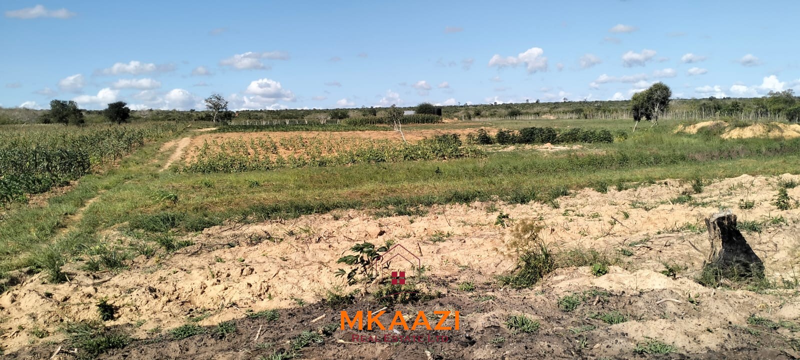 103-acre freehold land for sale in Dakacha, 2.5km off Malindi-Baricho Road, featuring red soil, a seasonal stream, nearby power and piped water, suitable for farming, ranching, and subdivision.