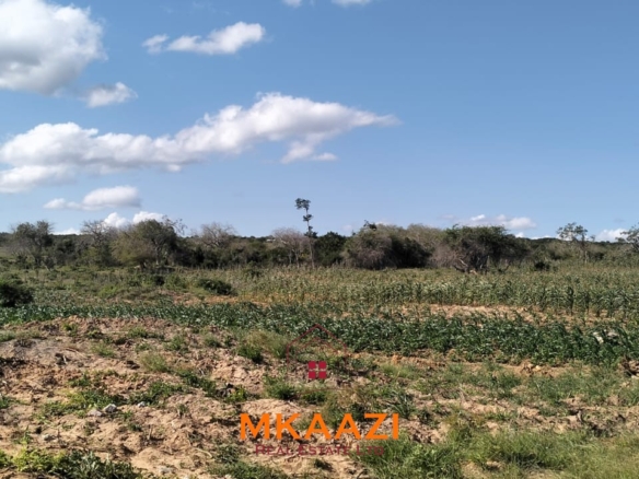 103-acre freehold land for sale in Dakacha, 2.5km off Malindi-Baricho Road, featuring red soil, a seasonal stream, nearby power and piped water, suitable for farming, ranching, and subdivision.