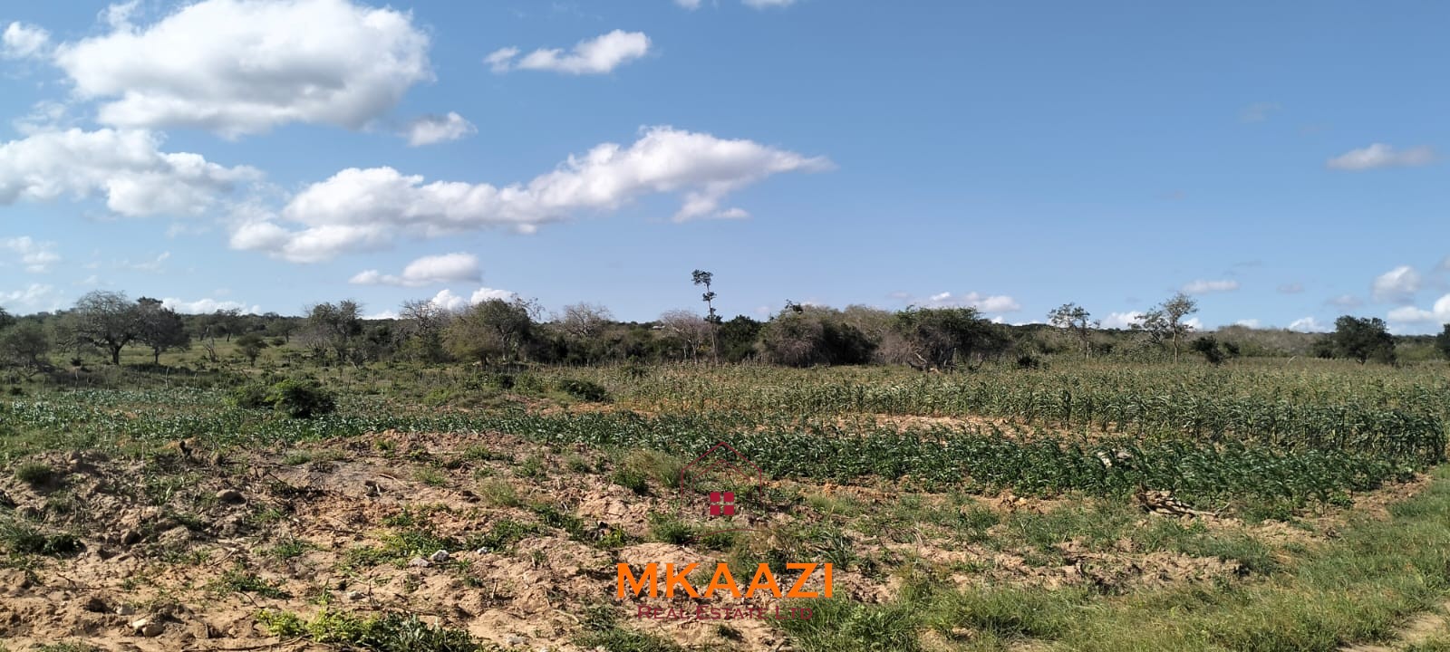 103-acre freehold land for sale in Dakacha, 2.5km off Malindi-Baricho Road, featuring red soil, a seasonal stream, nearby power and piped water, suitable for farming, ranching, and subdivision.