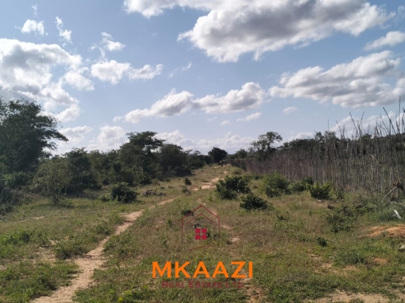 103-acre freehold land for sale in Dakacha, 2.5km off Malindi-Baricho Road, featuring red soil, a seasonal stream, nearby power and piped water, suitable for farming, ranching, and subdivision.