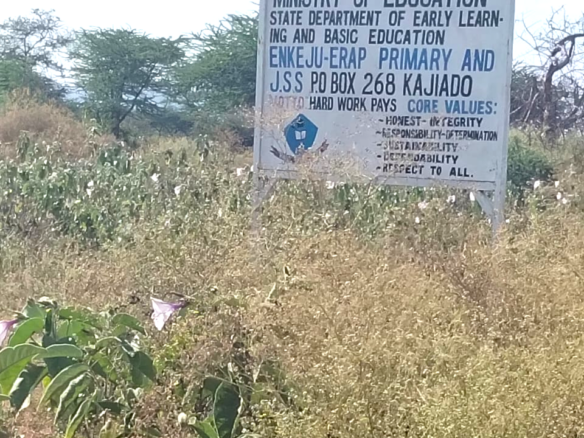 Prime 20-acre fertile agricultural land for sale in Emotoroki with brown loamy soil, road frontage, freehold title, and excellent farming potential.
