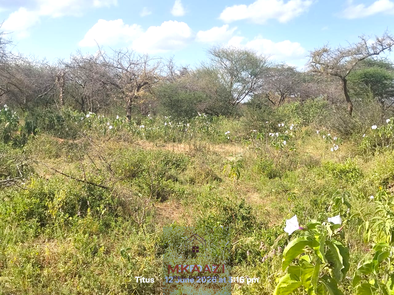 Prime 20-acre fertile agricultural land for sale in Emotoroki with brown loamy soil, road frontage, freehold title, and excellent farming potential.