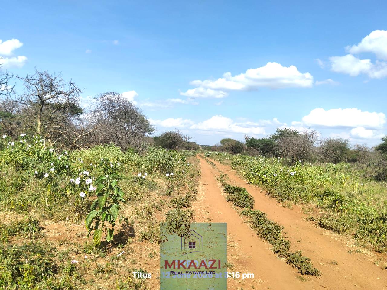 Prime 20-acre fertile agricultural land for sale in Emotoroki with brown loamy soil, road frontage, freehold title, and excellent farming potential.