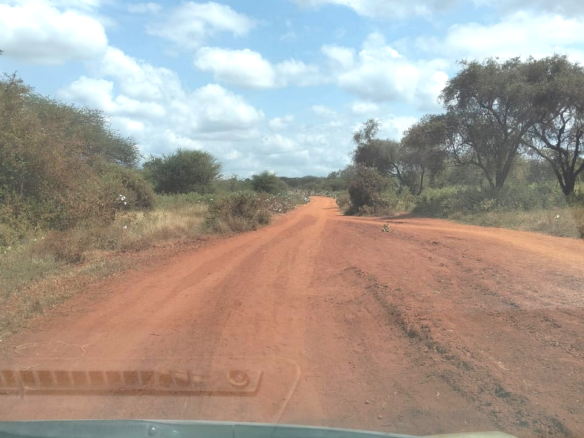 Prime 20-acre fertile agricultural land for sale in Emotoroki with brown loamy soil, road frontage, freehold title, and excellent farming potential.