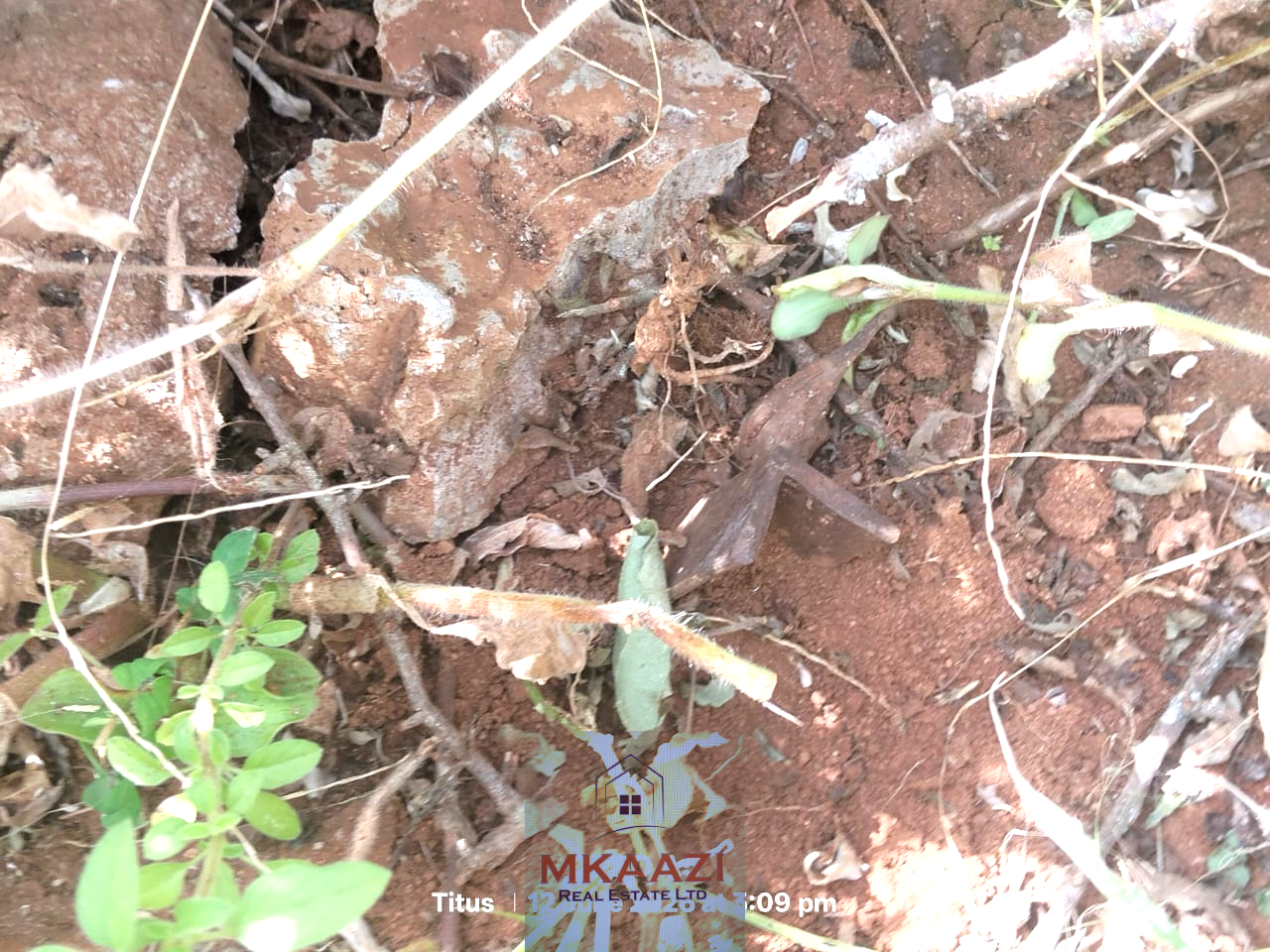 Prime 20-acre fertile agricultural land for sale in Emotoroki with brown loamy soil, road frontage, freehold title, and excellent farming potential.
