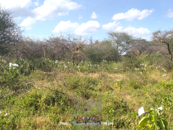 Prime 20-acre fertile agricultural land for sale in Emotoroki with brown loamy soil, road frontage, freehold title, and excellent farming potential.