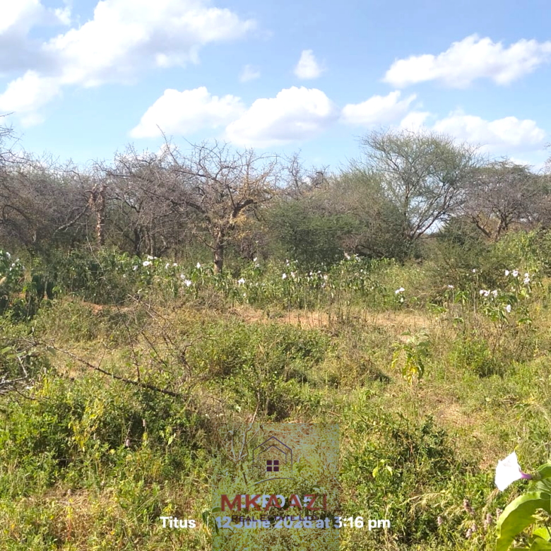 Prime 20-acre fertile agricultural land for sale in Emotoroki with brown loamy soil, road frontage, freehold title, and excellent farming potential.