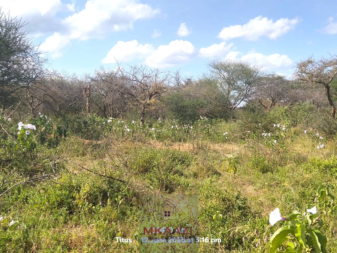 Prime 20-acre fertile agricultural land for sale in Emotoroki with brown loamy soil, road frontage, freehold title, and excellent farming potential.