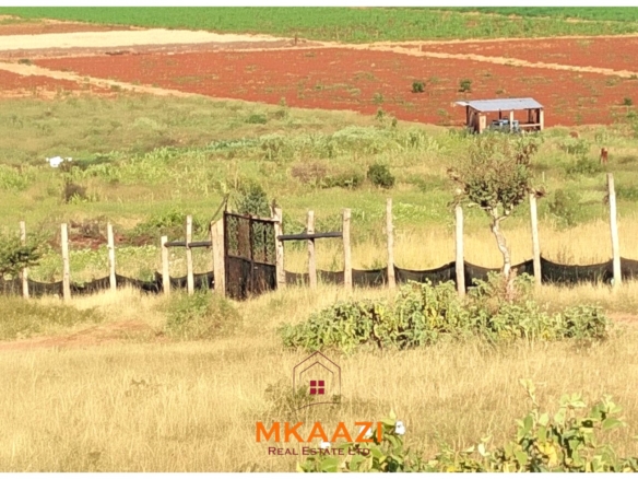 7-acre freehold agricultural land for sale in Megumi featuring fertile red soil, good road access, groundwater potential, clean title deed, and suitability for farming, livestock keeping, agro-processing, and land banking.