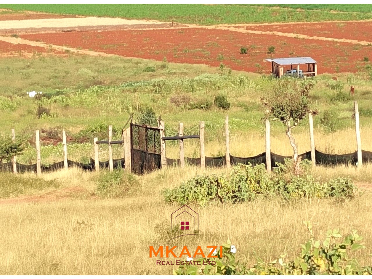 7-acre freehold agricultural land for sale in Megumi featuring fertile red soil, good road access, groundwater potential, clean title deed, and suitability for farming, livestock keeping, agro-processing, and land banking.