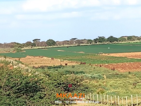 7-acre freehold agricultural land for sale in Megumi featuring fertile red soil, good road access, groundwater potential, clean title deed, and suitability for farming, livestock keeping, agro-processing, and land banking.