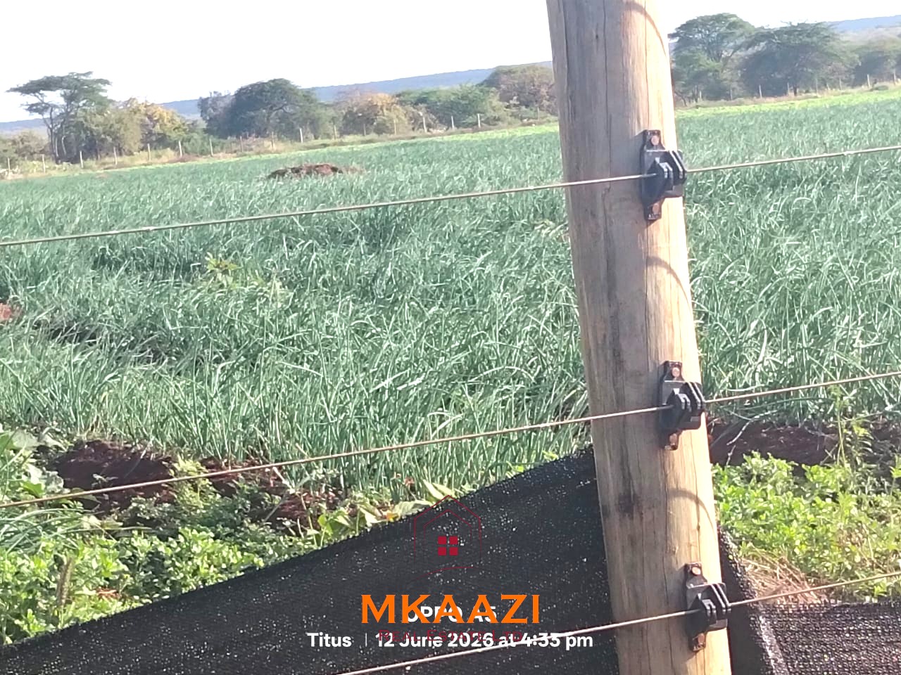 7-acre freehold agricultural land for sale in Megumi featuring fertile red soil, good road access, groundwater potential, clean title deed, and suitability for farming, livestock keeping, agro-processing, and land banking.