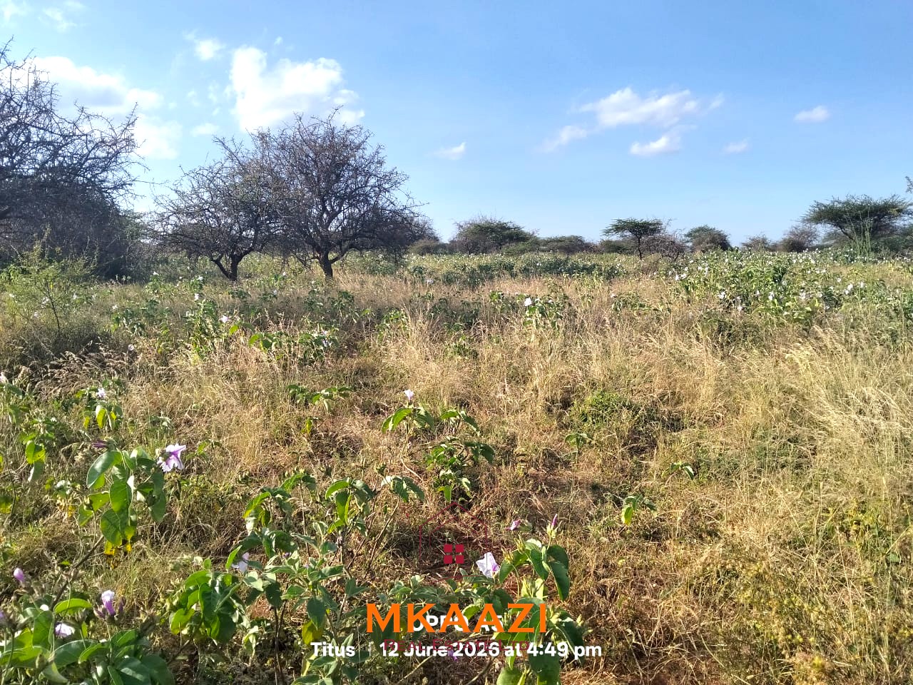 7-acre freehold agricultural land for sale in Megumi featuring fertile red soil, good road access, groundwater potential, clean title deed, and suitability for farming, livestock keeping, agro-processing, and land banking.