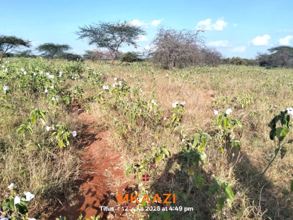 7-acre freehold agricultural land for sale in Megumi featuring fertile red soil, good road access, groundwater potential, clean title deed, and suitability for farming, livestock keeping, agro-processing, and land banking.