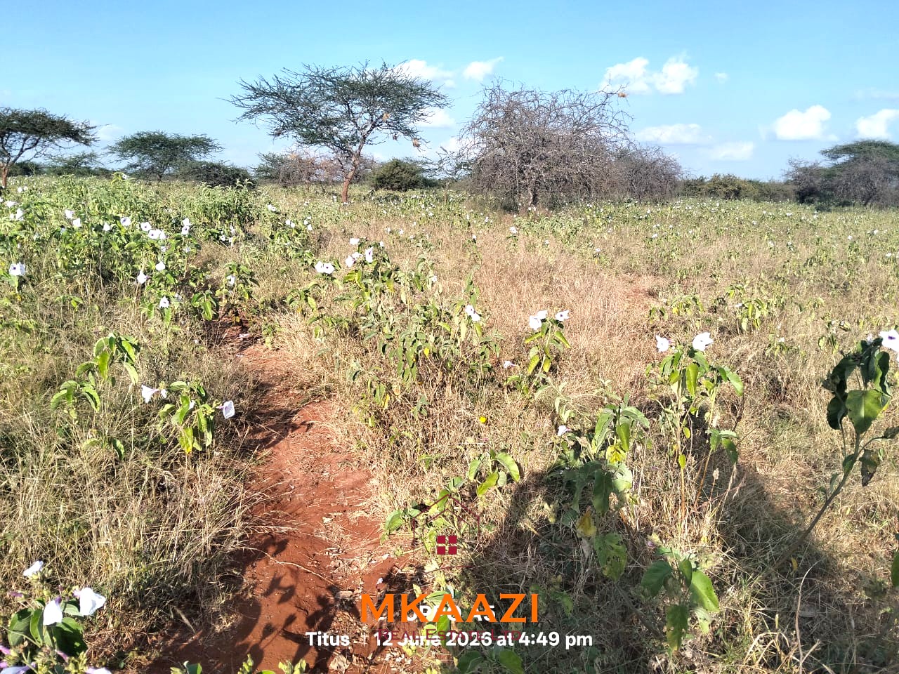 7-acre freehold agricultural land for sale in Megumi featuring fertile red soil, good road access, groundwater potential, clean title deed, and suitability for farming, livestock keeping, agro-processing, and land banking.