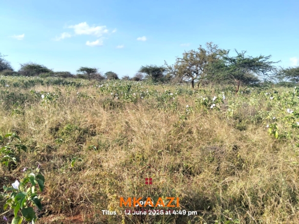7-acre freehold agricultural land for sale in Megumi featuring fertile red soil, good road access, groundwater potential, clean title deed, and suitability for farming, livestock keeping, agro-processing, and land banking.