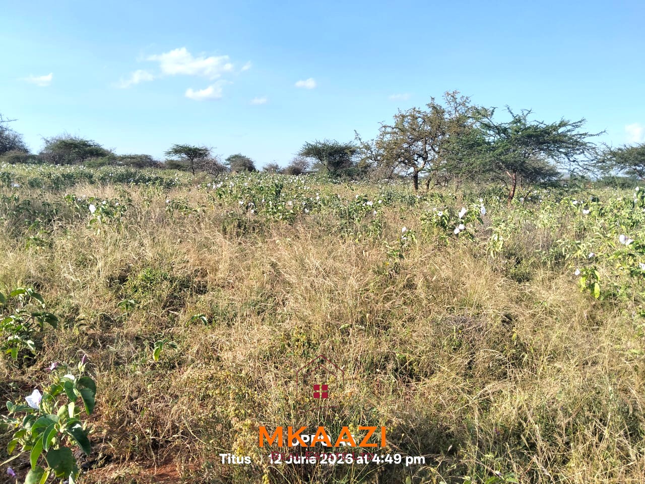 7-acre freehold agricultural land for sale in Megumi featuring fertile red soil, good road access, groundwater potential, clean title deed, and suitability for farming, livestock keeping, agro-processing, and land banking.
