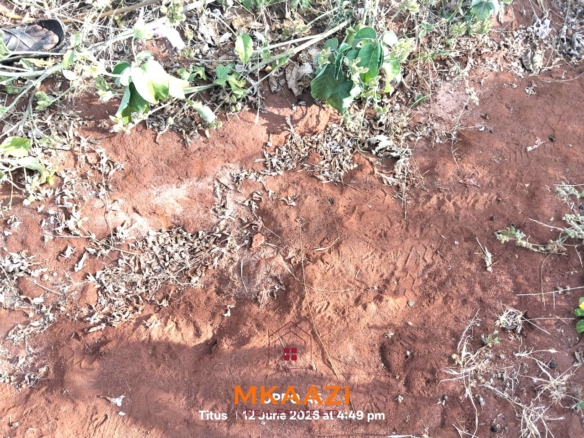 7-acre freehold agricultural land for sale in Megumi featuring fertile red soil, good road access, groundwater potential, clean title deed, and suitability for farming, livestock keeping, agro-processing, and land banking.