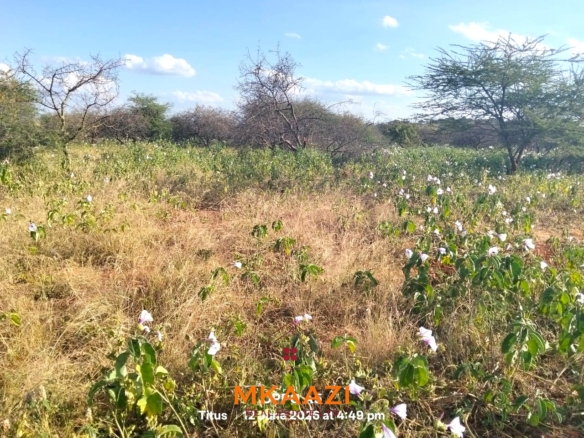 7-acre freehold agricultural land for sale in Megumi featuring fertile red soil, good road access, groundwater potential, clean title deed, and suitability for farming, livestock keeping, agro-processing, and land banking.