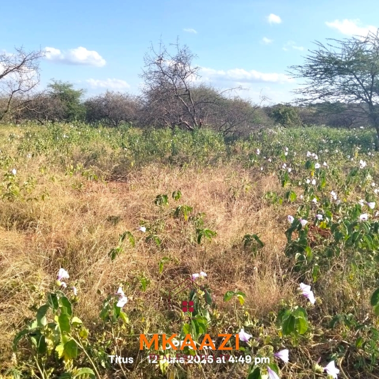 7-acre freehold agricultural land for sale in Megumi featuring fertile red soil, good road access, groundwater potential, clean title deed, and suitability for farming, livestock keeping, agro-processing, and land banking.