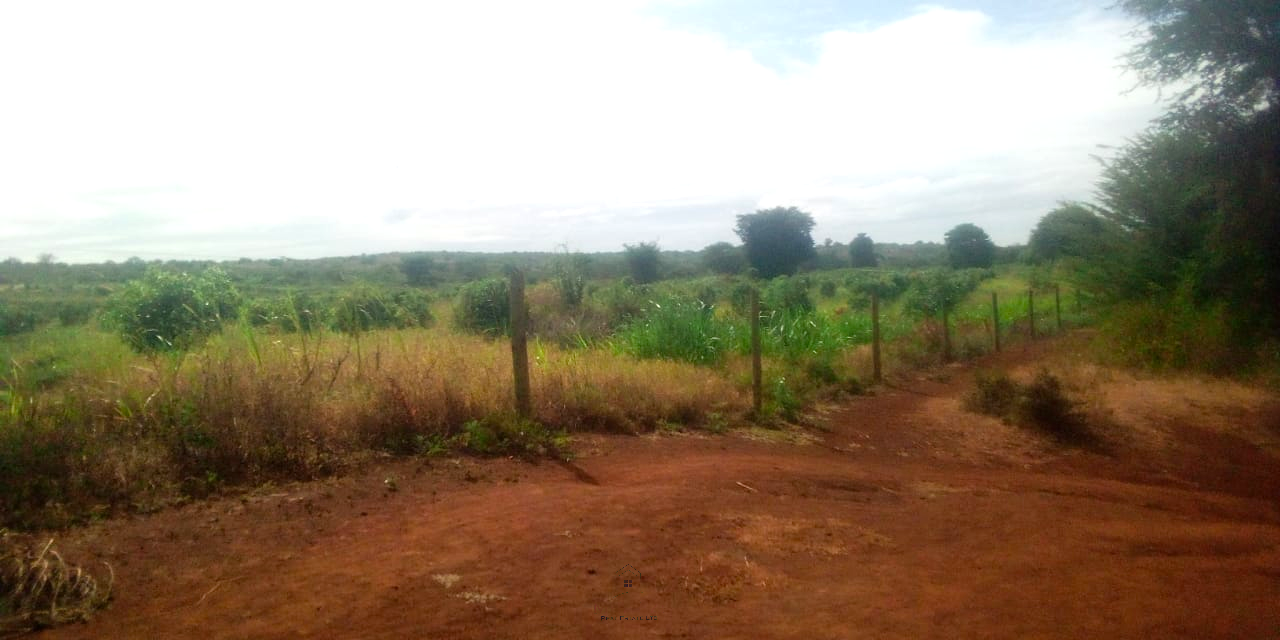 393-acre agricultural land for sale in Loitokitok Rombo featuring fertile red soils, freehold title, electricity, road access, and excellent farming and investment potential.