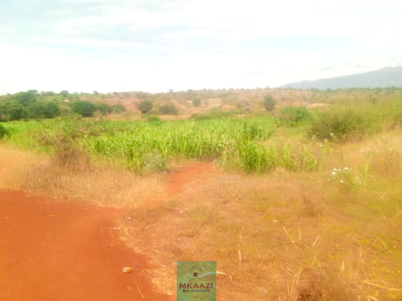 393-acre agricultural land for sale in Loitokitok Rombo featuring fertile red soils, freehold title, electricity, road access, and excellent farming and investment potential.