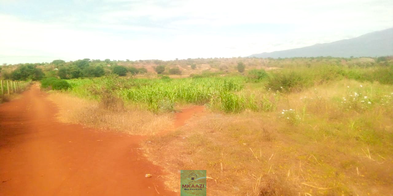 393-acre agricultural land for sale in Loitokitok Rombo featuring fertile red soils, freehold title, electricity, road access, and excellent farming and investment potential.