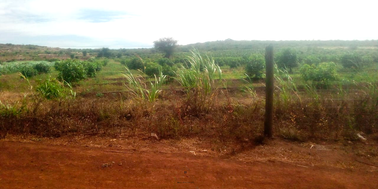 393-acre agricultural land for sale in Loitokitok Rombo featuring fertile red soils, freehold title, electricity, road access, and excellent farming and investment potential.