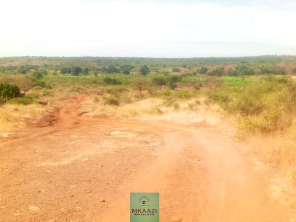 393-acre agricultural land for sale in Loitokitok Rombo featuring fertile red soils, freehold title, electricity, road access, and excellent farming and investment potential.