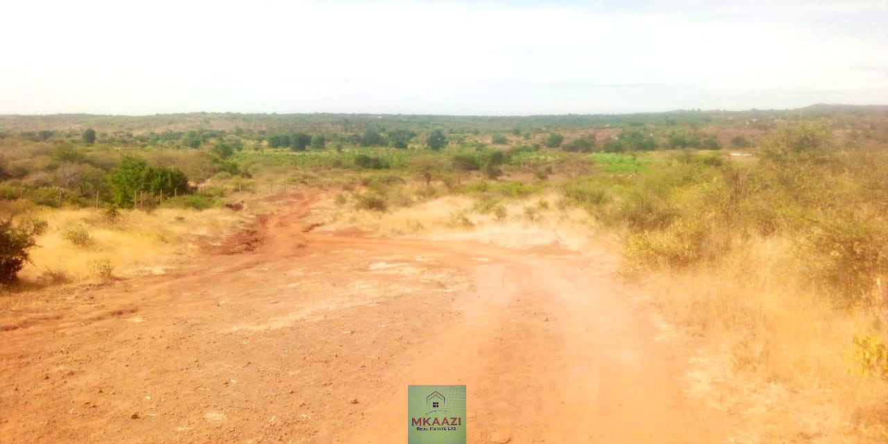 393-acre agricultural land for sale in Loitokitok Rombo featuring fertile red soils, freehold title, electricity, road access, and excellent farming and investment potential.