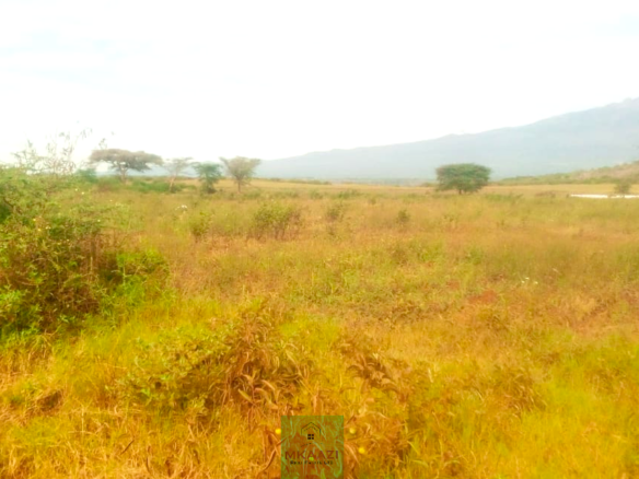 393-acre agricultural land for sale in Loitokitok Rombo featuring fertile red soils, freehold title, electricity, road access, and excellent farming and investment potential.