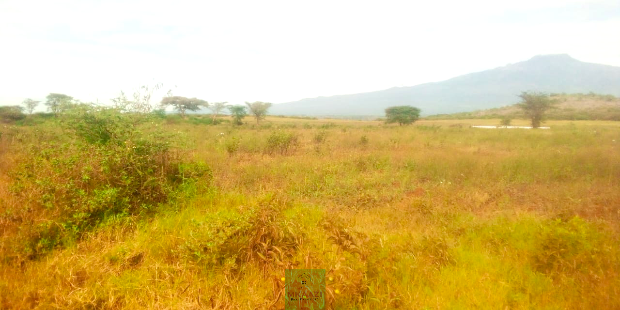393-acre agricultural land for sale in Loitokitok Rombo featuring fertile red soils, freehold title, electricity, road access, and excellent farming and investment potential.